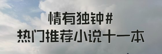 情有独钟#热门推荐小说十一本